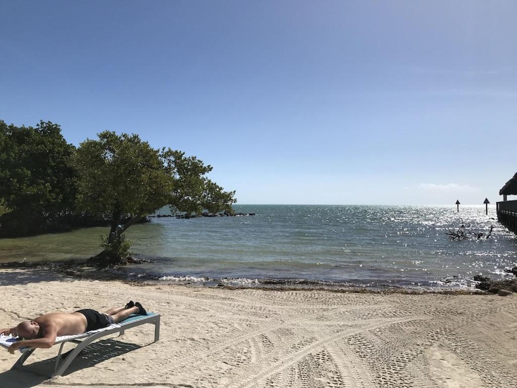 Tavernier Tropical Daze Oceanfront Paradise מראה חיצוני תמונה