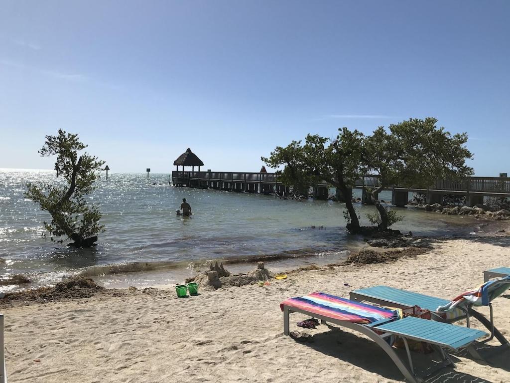 Tavernier Tropical Daze Oceanfront Paradise מראה חיצוני תמונה